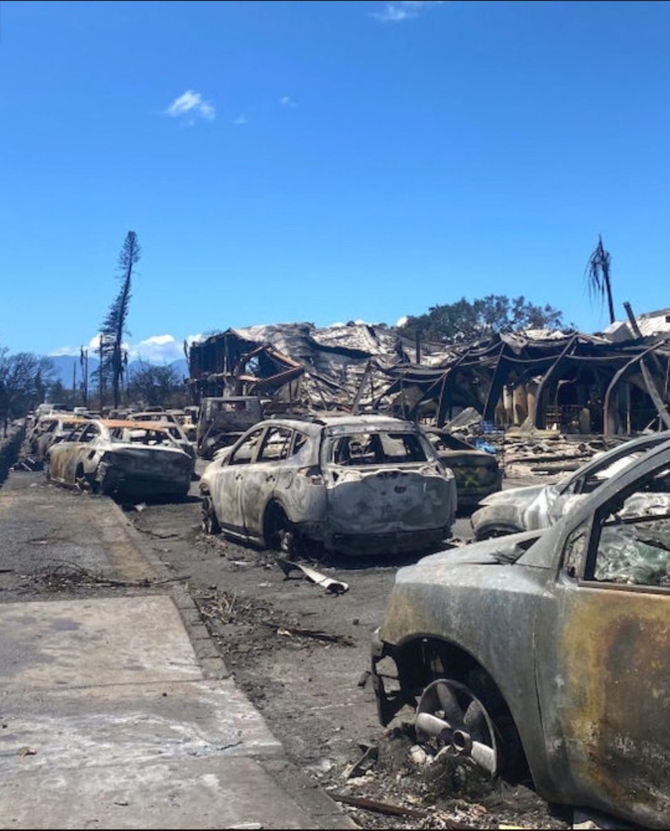 Images from Hawaii shows catastrophic damages caused by rampant wildfires 