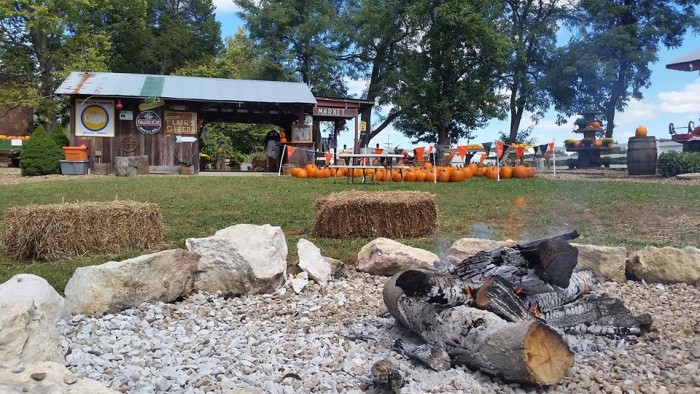 Best of the Best: Pumpkin Patches