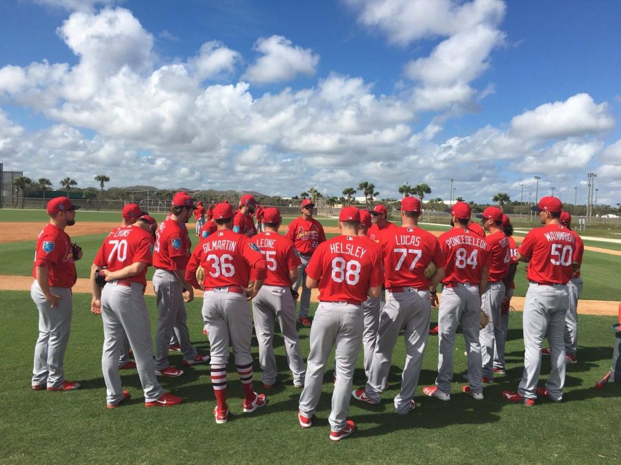 Cardinals Spring Into Action