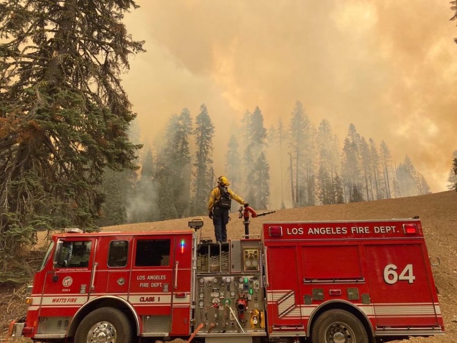 Firefighters across the west coast are trying their best to contain the wildfires 