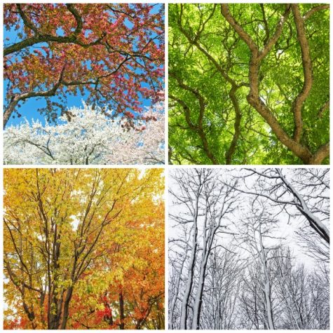 Take this quiz to find out what season you are most similar to!