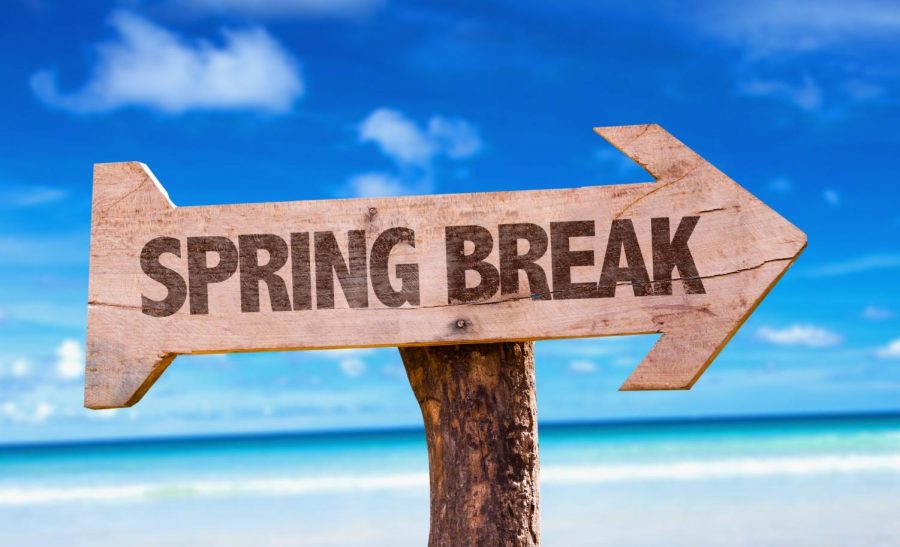 Five fun ways to spend your upcoming spring break.