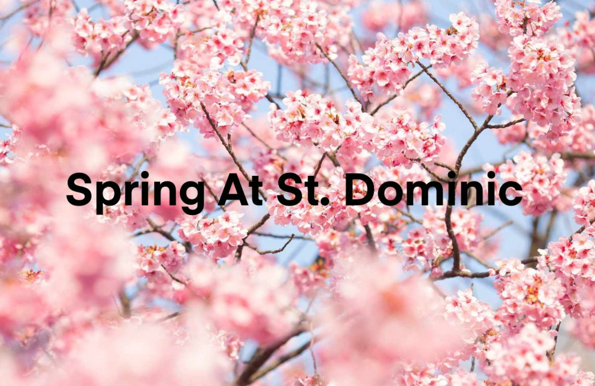 Some fun spring activities from your St. Dominic Crusader family