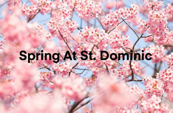 Some fun spring activities from your St. Dominic Crusader family